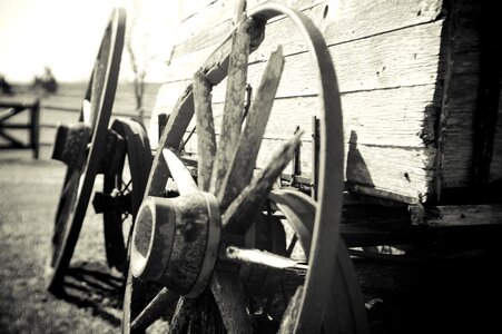 Black black and white carriage