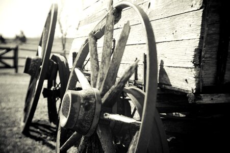 Black black and white carriage photo