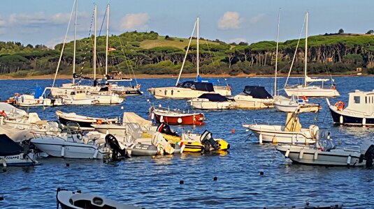 Baratti bay, small tourist harbor photo