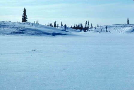 Hill january winter