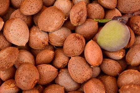 Brown diet dietary