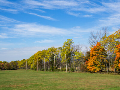 Field and Trees with Leaves Over Blue Sky photo