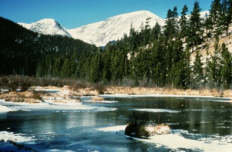 Domestic little national park