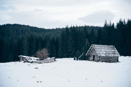 Old Cabin in Winter photo