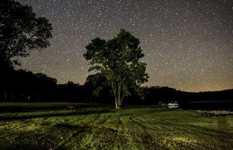 Landscape, tree, and stars at Blackhawk Lake Recreation Area, Wisconsin