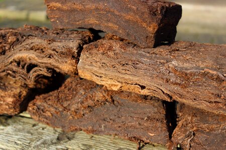 Dried nature moor