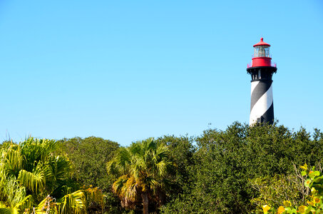 Lighthouse over the trees in St. Augustine, Florida photo