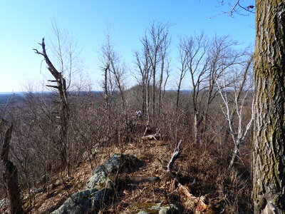 Thorny and rough Ridge trail