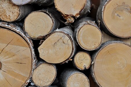Birch birch logs lumber