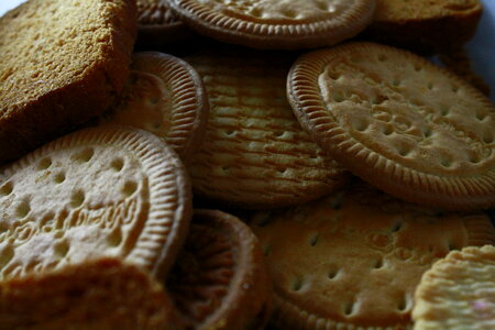 Lots Of Biscuits Cookies photo