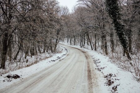 Road forest road winter photo