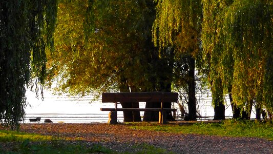 Abendstimmung sunset nature