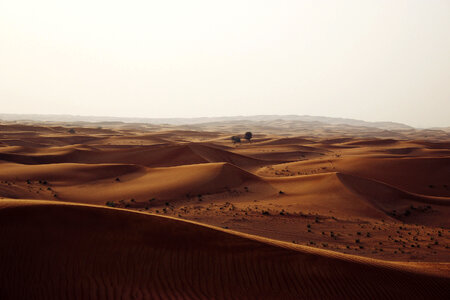 Brown desert dunes