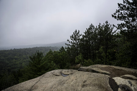 Fog and mist over the forest at Algonquin Provincial Park, Ontario photo