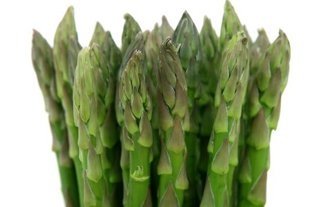 Agriculture asparagus dark green