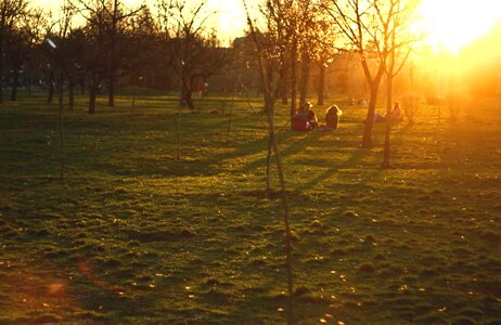 Backlight dawn dusk photo