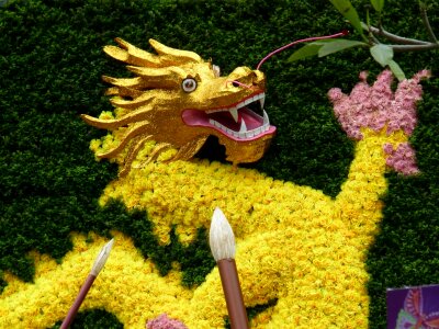 China dragon dragon head