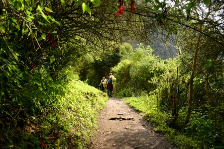 Inca trail to Machu Picchu, Cusco, Peru