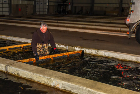 Service personnel prepare fish pump to load fish onto hatchery-5