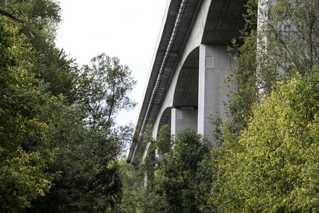 Bridge and Trees at Creve Coeur Lake