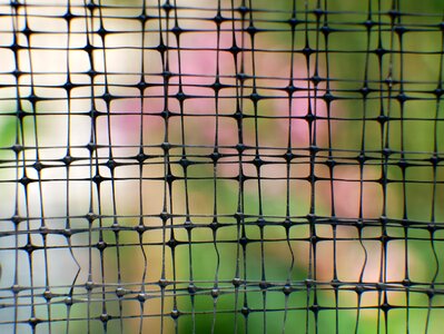 steel garden fence