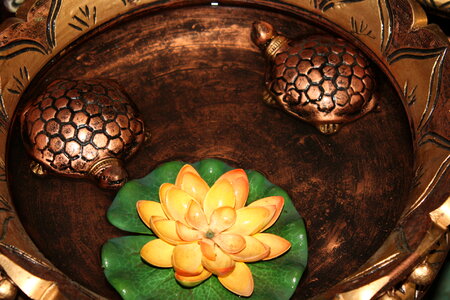 Tortoises In Water Feng Shui photo
