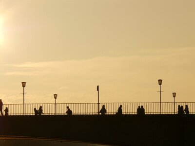 Bridge human profile photo