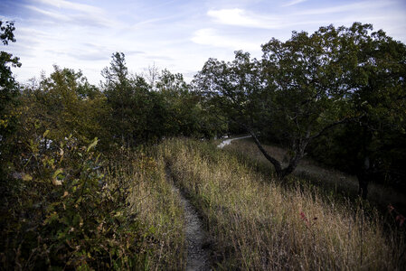 Hiking Trail landscape at Ferry Bluff, Wisconsin photo