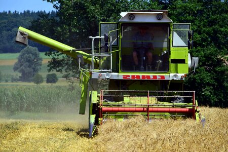 Agriculture field grain
