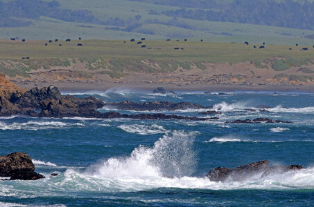 Waves Crashing on the ocean in Piedras Blancas Light Station in California