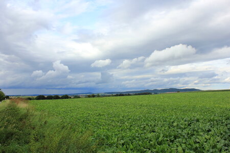 Green field up to the horizon