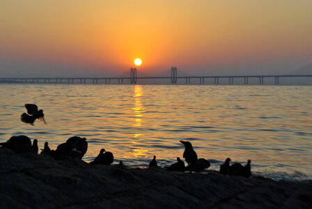 Mumbai Sunset India photo