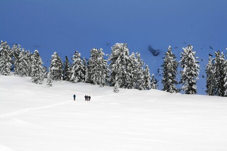Snowshoeing snowy nature photo