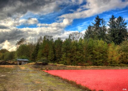 Farm landscape scenery