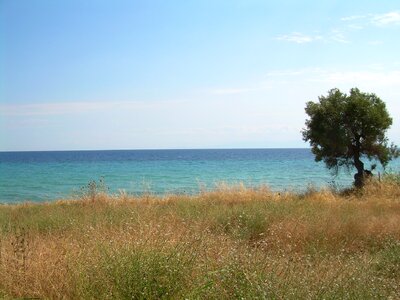 Meadow sea water