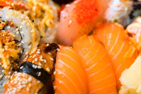 Sushi Closeup photo