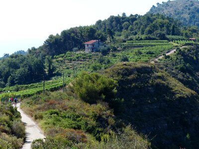 Ligurian mountain trail alta via dei monti welcomed avml
