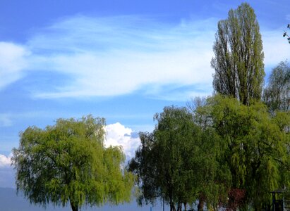 Lake sky clouds photo