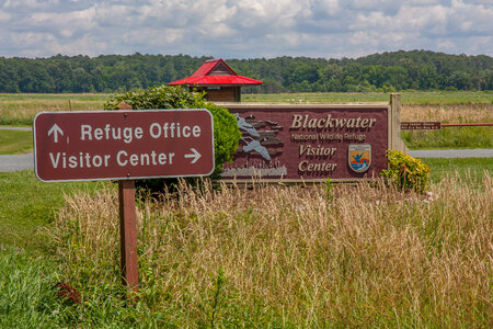 Blackwater NWR sign
