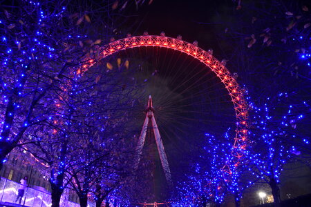 London Eye Ferris Wheel at Night photo