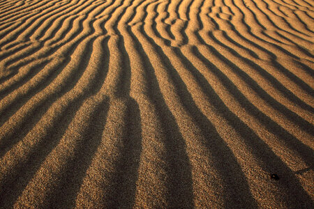 Desert Sands in Turkey