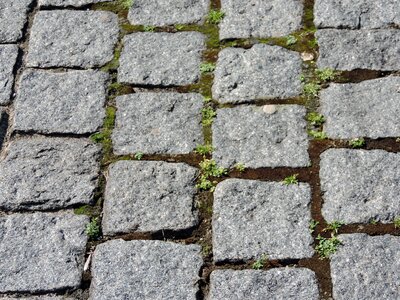 Avenue cobblestone pavement