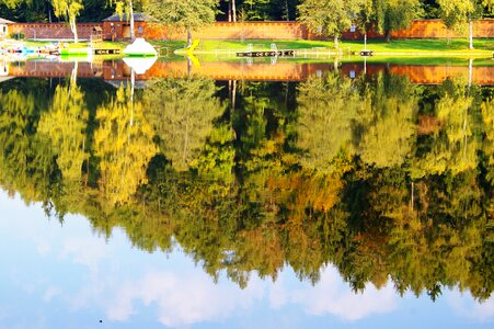 Autumn of yellow trees with reflection on lake photo