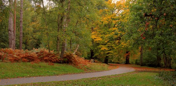 Nature landscape park photo