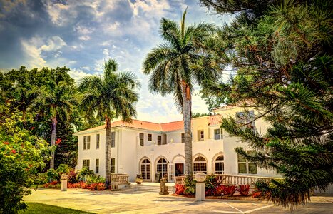 Landmark palm trees building