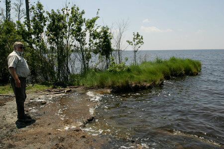 Climate impacts to Alligator River National Wildlife Refuge-2 photo