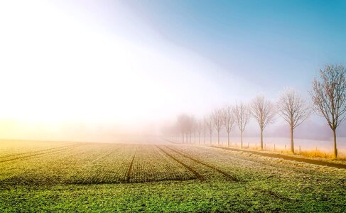 Crop crops farmland