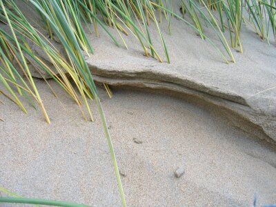 Sand sand beach excerpt of the beach