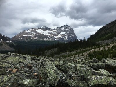 hiking trail in Opabin Plateau above Lake OHara photo