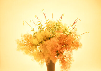Yellow flower bouquet photo